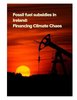 Fossil Fuel Subsidies in Ireland_Financing Climate Chaos_Clodagh Daly_for website